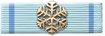 Bronze Arctic Warfare Ribbon